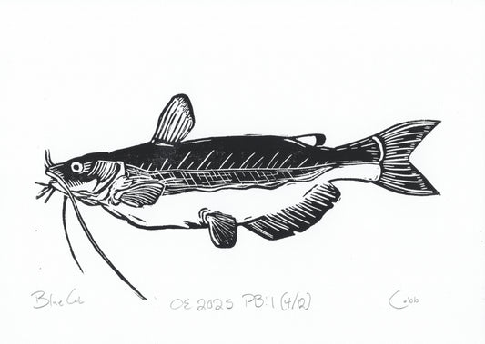 Blue Catfish Linoleum Print
