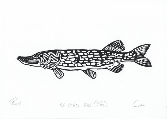 Pickerel Linoleum Print
